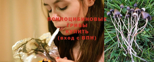 эйфоретик Богородск