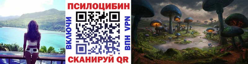 Галлюциногенные грибы Psilocybine cubensis  Купить закладки  Ужур 